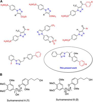 Synthesis of New 1H-1,2,3-Triazole Analogs in Aqueous Medium via “Click” Chemistry: A Novel Class of Potential Carbonic Anhydrase-II Inhibitors